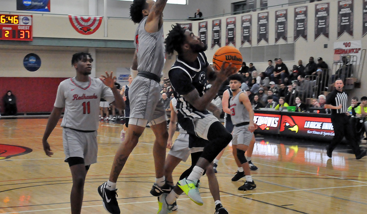 Lions Fall to La Roche in AMCC Championship Game