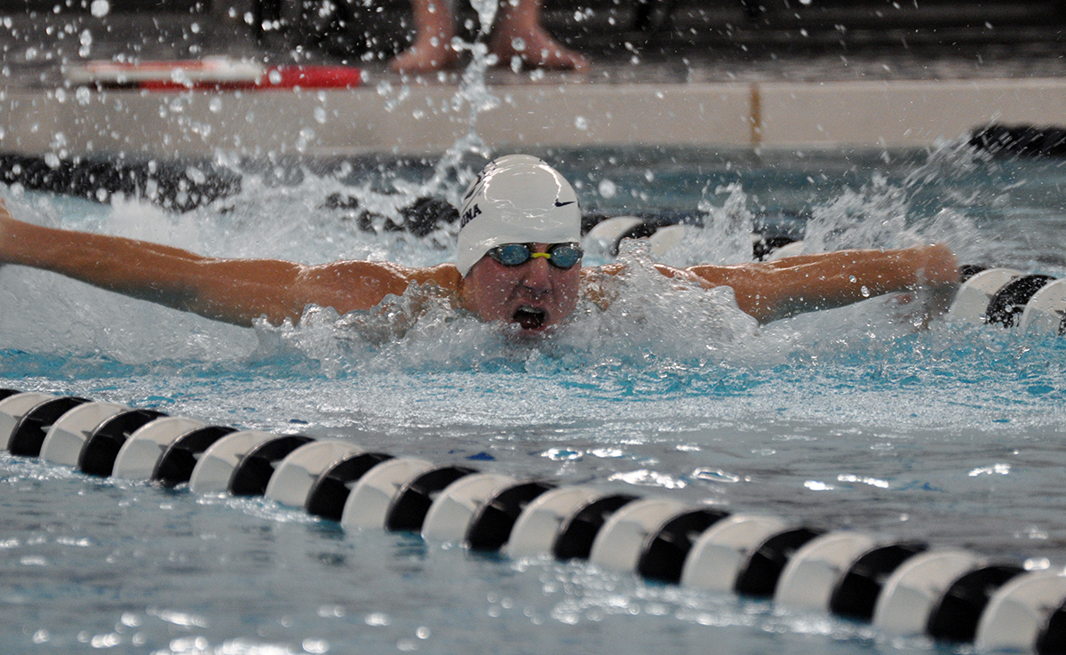 Men&rsquo;s Swimming Downed by Alfred State
