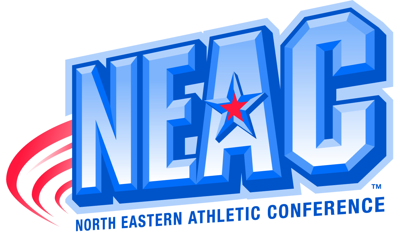 Men's Volleyball Set to Host Medaille in First Round Playoff Match